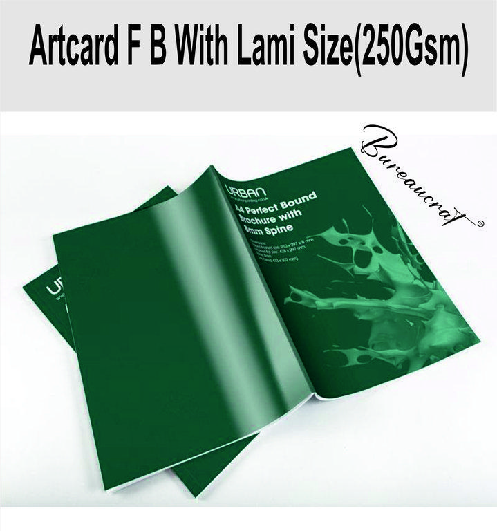 Picture of 500 Artcard Fb Withlamination Size(250Gsm)