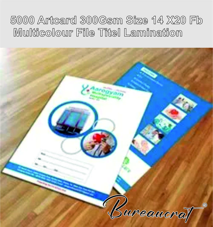 Picture of 5000 Artcard 300Gsm Size 15 X20 Fb Multicolour File Titel Lamination