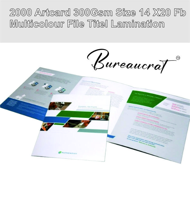 Picture of 2000 Artcard 300Gsm Size 14 X20 Fb Multicolour File Titel Lamination