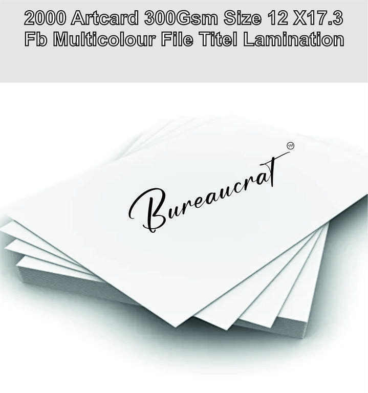 Picture of 2000 Artcard 300Gsm Size 12 X17.3 Fb Multicolour File Titel Lamination