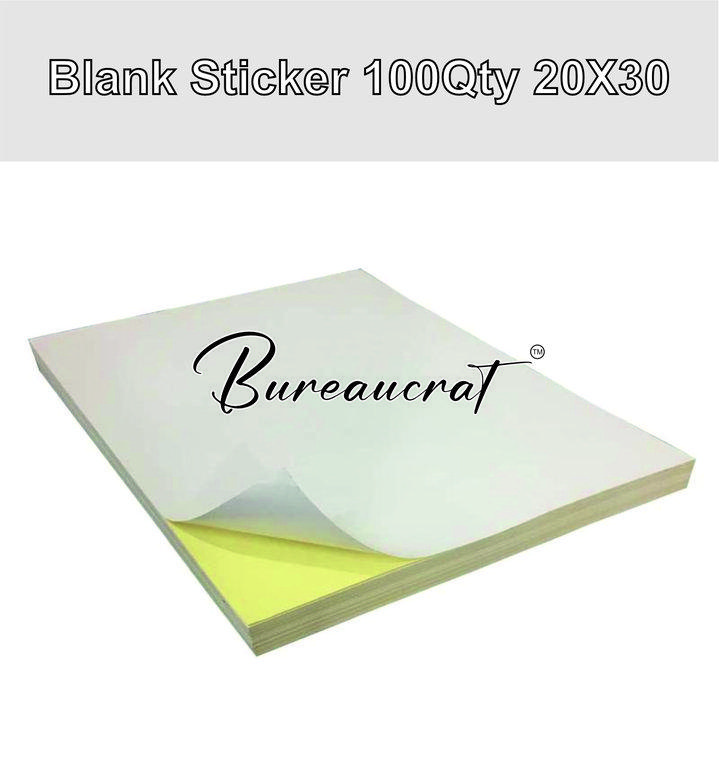 Picture of Blank Sticker 100Qty 20X30