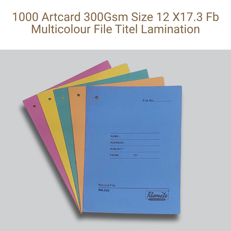 Picture of Duplex Board – 300 GSM – 12×17.3 in – Front Multicolor / Back Single Color – Lamination – Qty 1000