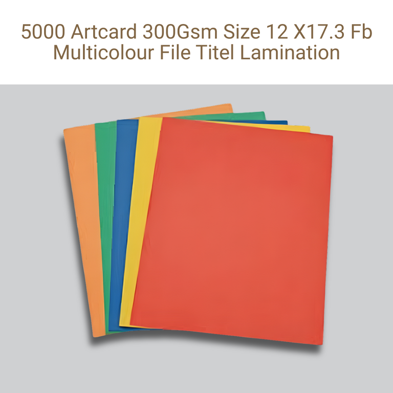 Picture of Art Card File – 300 GSM – 12×17.3 in – Front & Back Multicolor – Lamination – Qty 5000